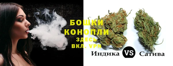 прущие грибы Беломорск