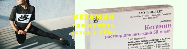 прущие грибы Беломорск