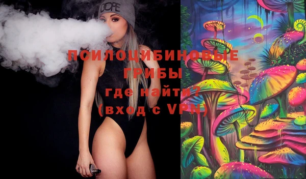 дмт Белокуриха