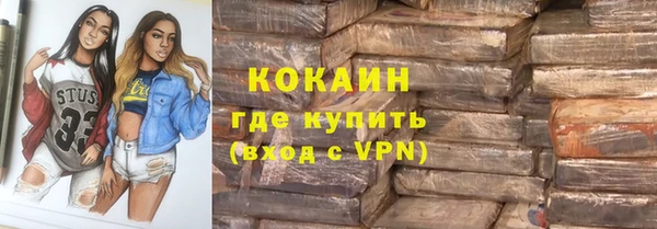прущие грибы Беломорск