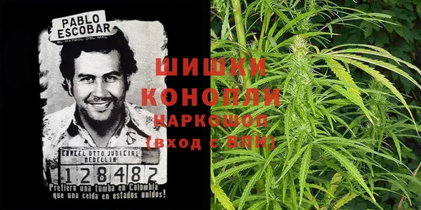 прущие грибы Беломорск
