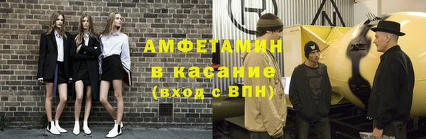 прущие грибы Беломорск