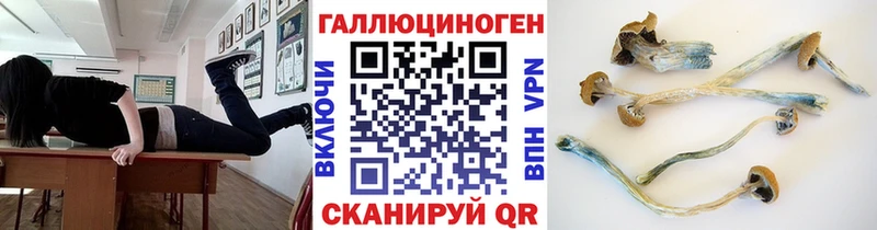 Галлюциногенные грибы Cubensis Пикалёво